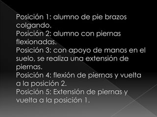 Posición 1: alumno de pie brazos colgando. Posición 2: alumno con piernas flexionadas. Posición 3: con apoyo de manos en el suelo, se realiza una extensión de piernas.Posición 4: flexión de piernas y vuelta a la posición 2. Posición 5: Extensión de piernas y vuelta a la posición 1. 