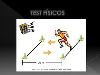 TEST FÍSICOS