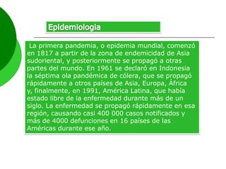 La primera pandemia, o epidemia mundial, comenzó
en 1817 a partir de la zona de endemicidad de Asia
sudoriental, y posteriormente se propagó a otras
partes del mundo. En 1961 se declaró en Indonesia
la séptima ola pandémica de cólera, que se propagó
rápidamente a otros países de Asia, Europa, África
y, finalmente, en 1991, América Latina, que había
estado libre de la enfermedad durante más de un
siglo. La enfermedad se propagó rápidamente en esa
región, causando casi 400 000 casos notificados y
más de 4000 defunciones en 16 países de las
Américas durante ese año.

 