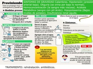 SINTOMAS DE GRAVEDAD Calambres. Hipotensión (presión
arterial baja). Oliguria (se orina por bajo lo normal).
Hemoconcentración (la sangre más viscosa). Acidosis
Metabólica (sangre con pH ácido). Hipopotasemia (Bajos
niveles de potasio). Insuficiencia renal aguda.

TRATAMIENTO: rehidratación. antibióticos.

 