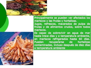 Diapositivas de vibrio cholerae