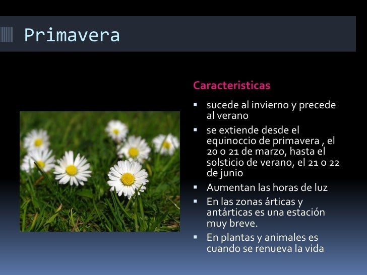 Primavera software project management Primavera software project management