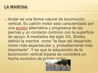 LA MARCHA:

   Andar es una forma natural de locomoción
    vertical. Su patrón motor esta caracterizado por
    una acción alternativa y progresiva de las
    piernas y un contacto continúo con la superficie
    de apoyo. A mediados del siglo XX, Shirley
    definió la marcha como "la fase del desarrollo
    motor más espectacular y, probablemente más
    importante". Y es que la adquisición de la
    locomoción vertical bípeda se considera un
    hecho evolutivo de primer orden.
 