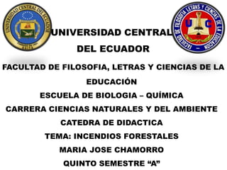 UNIVERSIDAD CENTRAL
               DEL ECUADOR
FACULTAD DE FILOSOFIA, LETRAS Y CIENCIAS DE LA
                 EDUCACIÓN
       ESCUELA DE BIOLOGIA – QUÍMICA
CARRERA CIENCIAS NATURALES Y DEL AMBIENTE
            CATEDRA DE DIDACTICA
        TEMA: INCENDIOS FORESTALES
           MARIA JOSE CHAMORRO
            QUINTO SEMESTRE “A”
 