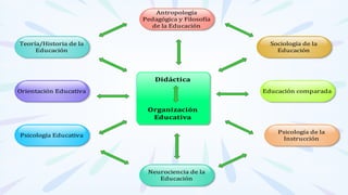 Antropología
Pedagógica y Filosofía
de la Educación
Sociología de la
Educación
Teoría/Historia de la
Educación
Educación comparada
Psicología de la
Instrucción
Orientación Educativa
Psicología Educativa
Didáctica
Organización
Educativa
Neurociencia de la
Educación
 