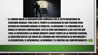 •EL CAMINO HACIA LA DROGADICCIÓN COMIENZA CON EL ACTO VOLUNTARIO DE
CONSUMIR DROGAS. PERO CON EL TIEMPO LA CAPACIDAD DE UNA PERSONA PARA
DECIDIR NO CONSUMIR DROGAS SE DEBILITA. LA BÚSQUEDA Y EL CONSUMO DE LA
DROGA SE VUELVEN COMPULSIVOS. ESTO SE DEBE MAYORMENTE A LOS EFECTOS QUE
TIENE LA EXPOSICIÓN A LA DROGA DURANTE LARGO TIEMPO EN LA FUNCIÓN CEREBRAL.
LA ADICCIÓN AFECTA LAS ZONAS DEL CEREBRO QUE PARTICIPAN EN LA MOTIVACIÓN Y
LA RECOMPENSA, EL APRENDIZAJE, LA MEMORIA Y EL CONTROL DEL COMPORTAMIENTO.
 