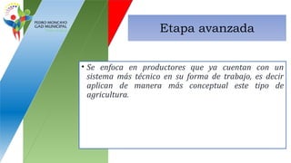 Etapa avanzada
• Se enfoca en productores que ya cuentan con un
sistema más técnico en su forma de trabajo, es decir
aplican de manera más conceptual este tipo de
agricultura.
 