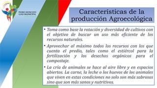 Características de la
producción Agroecológica
• Toma como base la rotación y diversidad de cultivos con
el objetivo de buscar un uso más eficiente de los
recursos naturales.
• Aprovechar al máximo todos los recursos con los que
cuenta el predio, tales como el estiércol para la
fertilización y los desechos orgánicos para el
compostaje.
• La cría de animales se hace al aire libre y en espacios
abiertos. La carne, la leche o los huevos de los animales
que viven en estas condiciones no solo son más sabrosos
sino que son más sanos y nutritivos.
 