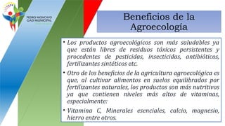Beneficios de la
Agroecología
• Los productos agroecológicos son más saludables ya
que están libres de residuos tóxicos persistentes y
procedentes de pesticidas, insecticidas, antibióticos,
fertilizantes sintéticos etc.
• Otro de los beneficios de la agricultura agroecológica es
que, al cultivar alimentos en suelos equilibrados por
fertilizantes naturales, los productos son más nutritivos
ya que contienen niveles más altos de vitaminas,
especialmente:
• Vitamina C, Minerales esenciales, calcio, magnesio,
hierro entre otros.
 