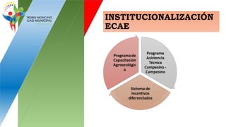 INSTITUCIONALIZACIÓN
ECAE
 