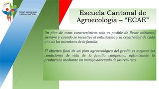 Escuela Cantonal de
Agroecología – “ECAE”
Un plan de estas características solo es posible de llevar adelante,
siempre y cuando se incentive el entusiasmo y la creatividad de cada
uno de los miembros de la familia.
El objetivo final de un plan agroecológico del predio es mejorar las
condiciones de vida de la familia campesina, optimizando la
producción mediante un manejo adecuado de los recursos.
 