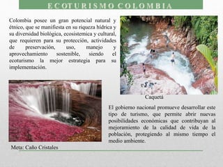 Colombia posee un gran potencial natural y
étnico, que se manifiesta en su riqueza hídrica y
su diversidad biológica, ecosistemica y cultural,
que requieren para su protección, actividades
de preservación, uso, manejo y
aprovechamiento sostenible, siendo el
ecoturismo la mejor estrategia para su
implementación.
El gobierno nacional promueve desarrollar este
tipo de turismo, que permite abrir nuevas
posibilidades económicas que contribuyan al
mejoramiento de la calidad de vida de la
población, protegiendo al mismo tiempo el
medio ambiente.
Meta: Caño Cristales
Caquetá
 