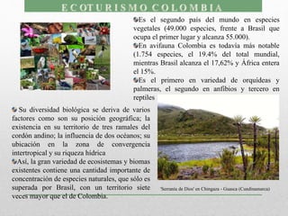 Es el segundo país del mundo en especies
vegetales (49.000 especies, frente a Brasil que
ocupa el primer lugar y alcanza 55.000).
En avifauna Colombia es todavía más notable
(1.754 especies, el 19.4% del total mundial,
mientras Brasil alcanza el 17,62% y África entera
el 15%.
Es el primero en variedad de orquídeas y
palmeras, el segundo en anfibios y tercero en
reptiles
Su diversidad biológica se deriva de varios
factores como son su posición geográfica; la
existencia en su territorio de tres ramales del
cordón andino; la influencia de dos océanos; su
ubicación en la zona de convergencia
intertropical y su riqueza hídrica
Así, la gran variedad de ecosistemas y biomas
existentes contiene una cantidad importante de
concentración de especies naturales, que sólo es
superada por Brasil, con un territorio siete
veces mayor que el de Colombia.
'Serranía de Dios' en Chingaza - Guasca (Cundinamarca)
 