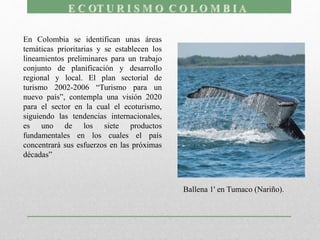 En Colombia se identifican unas áreas
temáticas prioritarias y se establecen los
lineamientos preliminares para un trabajo
conjunto de planificación y desarrollo
regional y local. El plan sectorial de
turismo 2002-2006 “Turismo para un
nuevo país”, contempla una visión 2020
para el sector en la cual el ecoturismo,
siguiendo las tendencias internacionales,
es uno de los siete productos
fundamentales en los cuales el país
concentrará sus esfuerzos en las próximas
décadas”
Ballena 1' en Tumaco (Nariño).
 