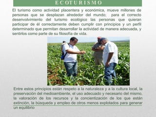 El turismo como actividad placentera y económica, mueve millones de
personas que se desplazan alrededor del mundo; para el correcto
desenvolvimiento del turismo ecológico las personas que quieran
participar de él correctamente deben cumplir con principios y un perfil
determinado que permitan desarrollar la actividad de manera adecuada, y
sentirlos como parte de su filosofía de vida.
Entre estos principios están respeto a la naturaleza y a la cultura local, la
preservación del medioambiente, el uso adecuado y necesario del mismo,
la valoración de los recursos y la concientización de los que están
extinción, la búsqueda y empleo de otros menos explotados para generar
un equilibrio
 