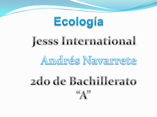 Ecología  Jesss International Andrés Navarrete 2do de Bachillerato “A” 