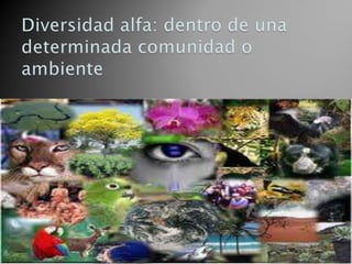 Diapositivas ecologia