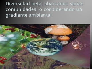 Diapositivas ecologia