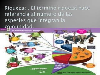 Diapositivas ecologia