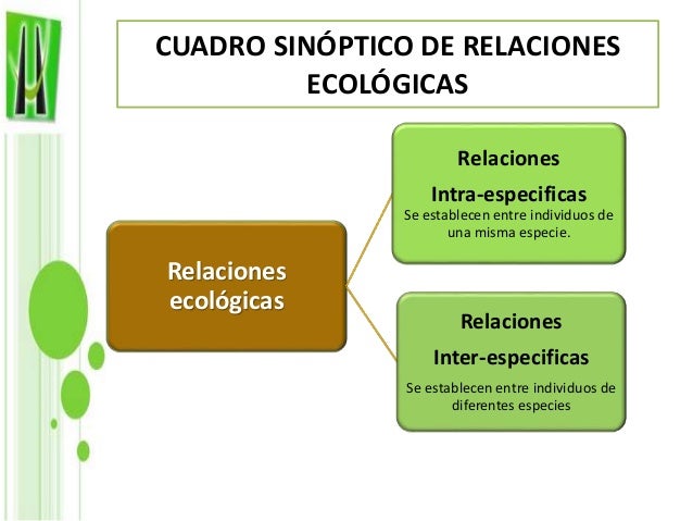 Diapositivas ecologia
