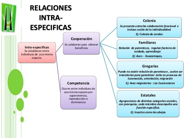 Diapositivas ecologia
