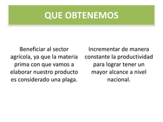 QUE OBTENEMOS 
Beneficiar al sector 
agrícola, ya que la materia 
prima con que vamos a 
elaborar nuestro producto 
es considerado una plaga. 
Incrementar de manera 
constante la productividad 
para lograr tener un 
mayor alcance a nivel 
nacional. 
 