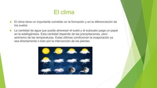 El clima
 El clima tiene un importante cometido en la formación y en la diferenciación de
los suelos.
 La cantidad de agua que puede atravesar el suelo y el subsuelo juega un papel
en la edafogénesis. Esta cantidad depende de las precipitaciones, pero
asimismo de las temperaturas. Estas últimas condicionan la evaporación ya
sea directamente o bien por la intervención de las plantas.
 