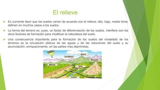 El relieve
 Es corriente decir que los suelos varían de acuerdo con el relieve: alto, bajo, media loma;
definen en muchos casos a los suelos.
 La forma del terreno es, pues, un factor de diferenciación de los suelos, interfiere con los
otros factores de formación para modificar la naturaleza del suelo.
 Una consecuencia importante para la formación de los suelos del modelado de los
terrenos es la circulación oblicua de las aguas y de las soluciones del suelo y su
acumulación, enriquecimiento, en las partes mas deprimidas.
 