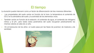 El tiempo
La duración puede intervenir como un factor de diferenciación de tres maneras diferentes:
 Las propiedades del suelo varían en función de la hora: la temperatura el contenido de
CO 2 en la atmósfera del suelo y la actividad de los elementos vivos.
 También varían en función de la estación: el contenido de agua, el contenido de nitrógeno
nítrico y el pH.; pero todos estos parámetros del suelo recuperan prácticamente los
mismos valores al cabo de un año.
 En el transcurso de los años: un suelo pasa por las fases de juventud, de madurez y de
senilidad.
 
