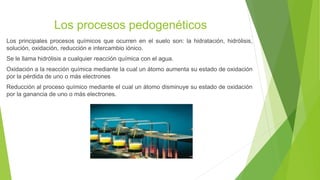 Los procesos pedogenéticos
Los principales procesos químicos que ocurren en el suelo son: la hidratación, hidrólisis,
solución, oxidación, reducción e intercambio iónico.
Se le llama hidrólisis a cualquier reacción química con el agua.
Oxidación a la reacción química mediante la cual un átomo aumenta su estado de oxidación
por la pérdida de uno o más electrones
Reducción al proceso químico mediante el cual un átomo disminuye su estado de oxidación
por la ganancia de uno o más electrones.
 