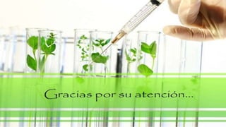 Diapositivas edafologia