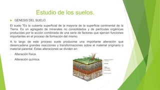 Estudio de los suelos.
 GÉNESIS DEL SUELO.
El suelo "Es la cubierta superficial de la mayoría de la superficie continental de la
Tierra. Es un agregado de minerales no consolidados y de partículas orgánicas
producidas por la acción combinada de una serie de factores que ejercen funciones
importantes en el proceso de formación del mismo.
A lo largo de este proceso suele producirse una importante alteración que
desencadena grandes reacciones y transformaciones sobre el material originario o
material parental. Estas alteraciones se dividen en:
o Alteración física.
o Alteración química.
 