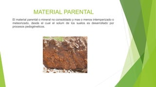 MATERIAL PARENTAL
El material parental o mineral no consolidado y mas o menos intemperizado o
meteorizado, desde el cual el solum de los suelos es desarrollado por
procesos pedogéneticos.
 