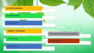 LA BIODIVERSIDAD
LA ATMOSFERA
AGUA DULCE
MARES Y OCÉANOS
LA ENERGÍA
LOS BOSQUES
ESPACIOS NATURALES PROTEGIDOS
LAS CIUDADES
 