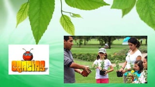 Educación ambiental