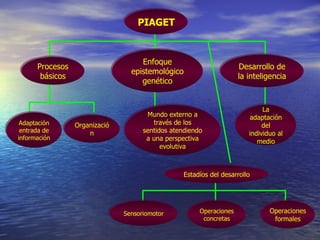 PIAGET Procesos básicos Enfoque epistemológico genético Desarrollo de la inteligencia Mundo externo a través de los sentidos atendiendo a una perspectiva evolutiva Organización Adaptación entrada de información La adaptación del individuo al medio Estadíos del desarrollo Sensoriomotor Operaciones concretas Operaciones formales 