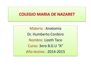 COLEGIO MARIA DE NAZARET 
Materia : Anatomia 
Dr. Humberto Cordero 
Nombre: Lizeth Taco 
Curso: 3ero B.G.U “A” 
Año lectivo : 2014-2015 
 