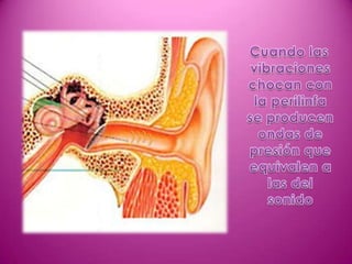 El sonido (Diapositivas)