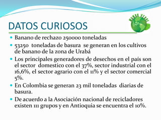 DATOS CURIOSOSBanano de rechazo 250000 toneladas53250  toneladas de basura  se generan en los cultivos de banano de la zona de UrabáLos principales generadores de desechos en el país son el sector  domestico con el 37%, sector industrial con el 16,6%, el sector agrario con el 11% y el sector comercial 5%.En Colombia se generan 23 mil toneladas  diarias de basura.De acuerdo a la Asociación nacional de recicladores existen 111 grupos y en Antioquia se encuentra el 10%.