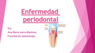 Por
Ana María sierra Martínez
Facultad de odontología
 