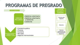 CIENCIAS AMBIENTALES
CIENCIAS ECONÓMICAS,
ADMINISTRATIVAS,
CONTABLES Y AFINES
• Contaduría publica
• Finanzas
• Economía
• Mercadeo
• Negocios internacionales
• Medicina veterinaria
• Medicina veterinaria
y zootecnia
• zootecnia
CIENCIAS
PECUARIAS
CIENCIAS
SOCIALES Y
HUMANAS
Ciencias del
deporte
Derecho
Técnico
profesional en
entrenamiento
deportivo
 