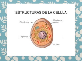 Diapositivas en powert point