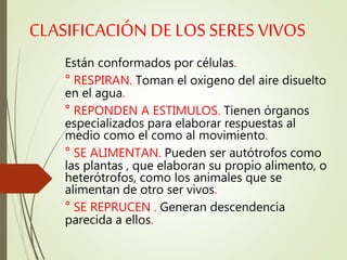 CLASIFICACIÓN DE LOS SERES VIVOS
Están conformados por células.
° RESPIRAN. Toman el oxigeno del aire disuelto
en el agua.
° REPONDEN A ESTIMULOS. Tienen órganos
especializados para elaborar respuestas al
medio como el como al movimiento.
° SE ALIMENTAN. Pueden ser autótrofos como
las plantas , que elaboran su propio alimento, o
heterótrofos, como los animales que se
alimentan de otro ser vivos.
° SE REPRUCEN . Generan descendencia
parecida a ellos.
 
