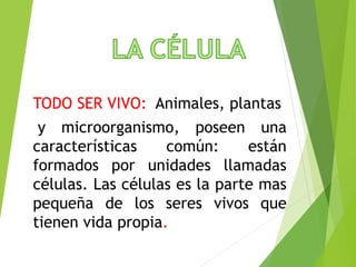 TODO SER VIVO: Animales, plantas
y microorganismo, poseen una
características común: están
formados por unidades llamadas
células. Las células es la parte mas
pequeña de los seres vivos que
tienen vida propia.
 