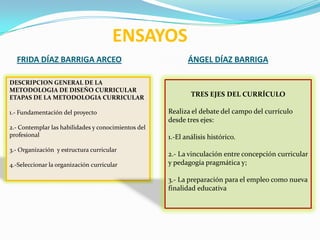 Diapositivas ensayo Díaz Barriga