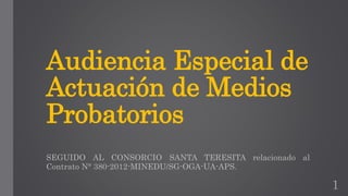 Audiencia Especial de
Actuación de Medios
Probatorios
SEGUIDO AL CONSORCIO SANTA TERESITA relacionado al
Contrato N° 380-2012-MINEDU/SG-OGA-UA-APS.
1
 