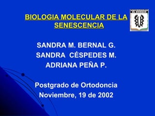 BIOLOGIA MOLECULAR DE LA
       SENESCENCIA

  SANDRA M. BERNAL G.
  SANDRA CÉSPEDES M.
    ADRIANA PEÑA P.

  Postgrado de Ortodoncia
   Noviembre, 19 de 2002
 