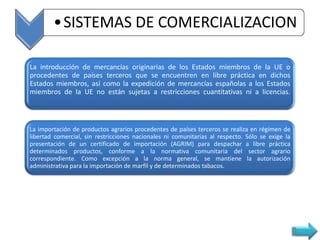 •SISTEMAS DE COMERCIALIZACION

La introducción de mercancías originarias de los Estados miembros de la UE o
procedentes de países terceros que se encuentren en libre práctica en dichos
Estados miembros, así como la expedición de mercancías españolas a los Estados
miembros de la UE no están sujetas a restricciones cuantitativas ni a licencias.



La importación de productos agrarios procedentes de países terceros se realiza en régimen de
libertad comercial, sin restricciones nacionales ni comunitarias al respecto. Sólo se exige la
presentación de un certificado de importación (AGRIM) para despachar a libre práctica
determinados productos, conforme a la normativa comunitaria del sector agrario
correspondiente. Como excepción a la norma general, se mantiene la autorización
administrativa para la importación de marfil y de determinados tabacos.
 
