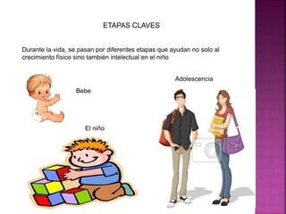 ETAPAS CLAVES 
Durante la vida, se pasan por diferentes etapas que ayudan no solo al 
crecimiento físico sino también intelectual en el niño 
Bebe 
El niño 
Adolescencia 
 
