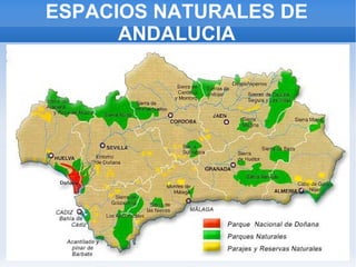 ESPACIOS NATURALES DE ANDALUCIA 